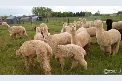 1203 S 112th St, Lafayette, CO 80026 - Photo 3