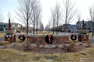 1047 Canal Dr, Windsor, CO 80550 - Photo 43