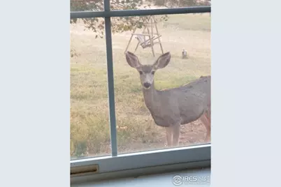 3842 Banner Ct, Parker, CO 80138 - Photo 45