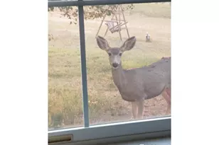 3842 Banner Ct, Parker, CO 80138 - Photo 45