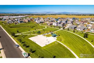 869 Charlton Dr, Windsor, CO 80550 - Photo 37