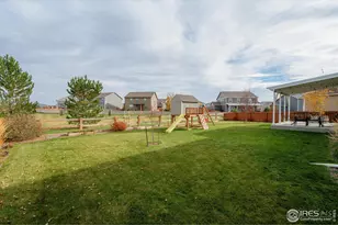 869 Charlton Dr, Windsor, CO 80550 - Photo 31