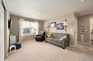 869 Charlton Dr, Windsor, CO 80550 - Photo 13