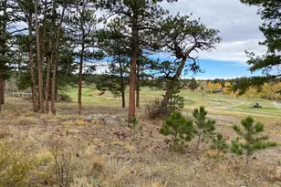 0 Northwoods Dr, Red Feather Lakes, CO 80545 - Photo 1