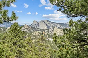 1420 Marys Lake Rd, Estes Park, CO 80517 - Photo 3