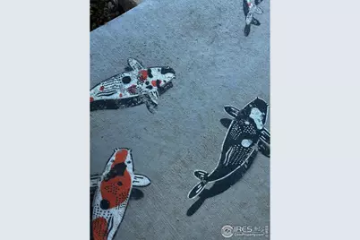 2037 Aster Ln, Lafayette, CO 80026 - Photo 33