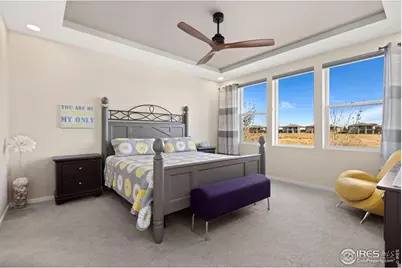 6808 Castello St, Timnath, CO 80547 - Photo 11