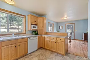 60 Horn Peak Dr, Livermore, CO 80536 - Photo 17