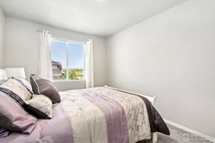 3603 Ronald Reagan Ave, Wellington, CO 80549 - Photo 19