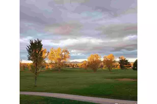 632 S Manorwood Ln, Louisville, CO 80027 - Photo 41