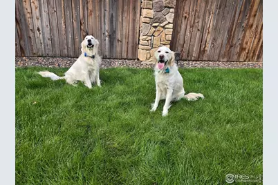 5261 E 143rd Dr, Thornton, CO 80602 - Photo 39