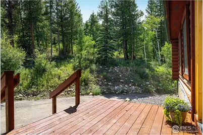 280 Hummer Dr, Nederland, CO 80466 - Photo 5