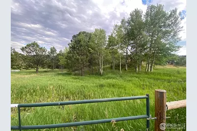 24 Hickok Trl, Ward, CO 80481 - Photo 15