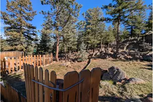 4360 Green Mountain Dr, Livermore, CO 80536 - Photo 9