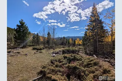 0 Bear Gulch Rd, Red Feather Lakes, CO 80545 - Photo 5