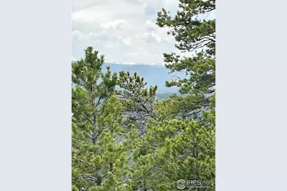 0 Bear Gulch Rd, Red Feather Lakes, CO 80545 - Photo 9