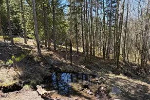 0 Bear Gulch Rd, Red Feather Lakes, CO 80545 - Photo 1