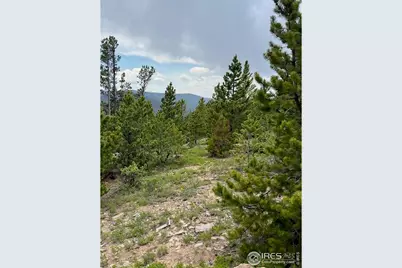 0 Bear Gulch Rd, Red Feather Lakes, CO 80545 - Photo 9