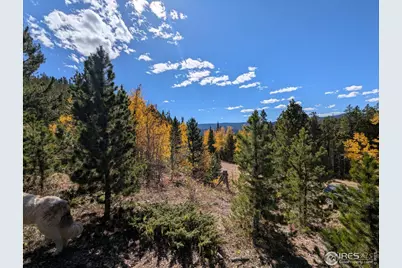 0 Bear Gulch Rd, Red Feather Lakes, CO 80545 - Photo 3