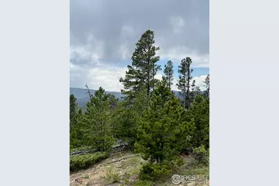 0 Bear Gulch Rd, Red Feather Lakes, CO 80545 - Photo 7