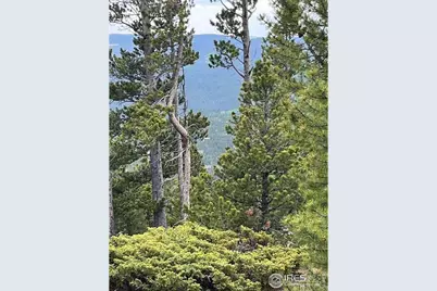 0 Bear Gulch Rd, Red Feather Lakes, CO 80545 - Photo 13