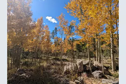 0 Bear Gulch Rd, Red Feather Lakes, CO 80545 - Photo 19