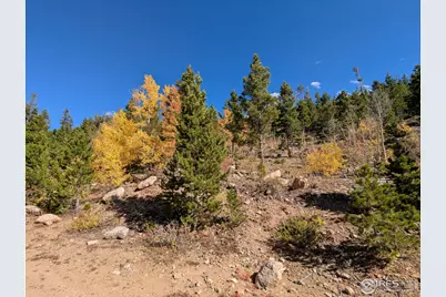 0 Bear Gulch Rd, Red Feather Lakes, CO 80545 - Photo 3