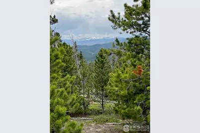 0 Bear Gulch Rd, Red Feather Lakes, CO 80545 - Photo 11
