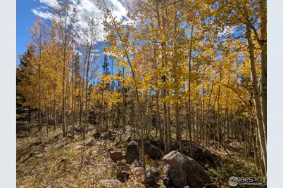 0 Bear Gulch Rd, Red Feather Lakes, CO 80545 - Photo 19
