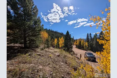 0 Bear Gulch Rd, Red Feather Lakes, CO 80545 - Photo 5