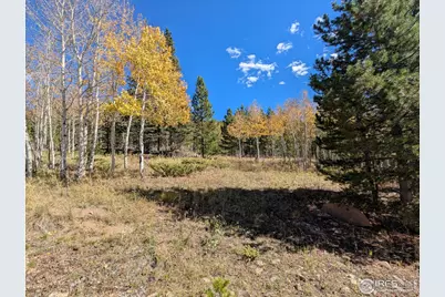 0 Bear Gulch Rd, Red Feather Lakes, CO 80545 - Photo 21
