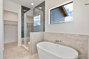 164 Boxwood Dr, Windsor, CO 80550 - Photo 15