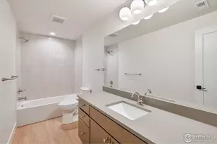 164 Boxwood Dr, Windsor, CO 80550 - Photo 17