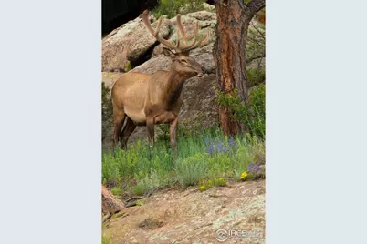 321 May Ave, Lyons, CO 80540 - Photo 37