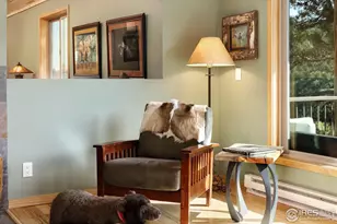 321 May Ave, Lyons, CO 80540 - Photo 11