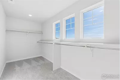 866 Mesic Ln, Windsor, CO 80550 - Photo 23