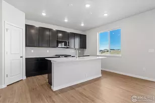 866 Mesic Ln, Windsor, CO 80550 - Photo 9