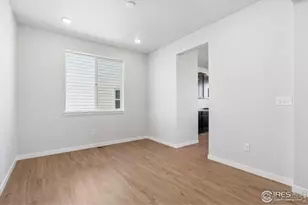 866 Mesic Ln, Windsor, CO 80550 - Photo 5