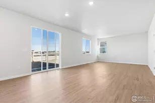 866 Mesic Ln, Windsor, CO 80550 - Photo 13