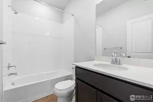 866 Mesic Ln, Windsor, CO 80550 - Photo 19