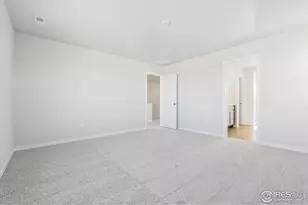 866 Mesic Ln, Windsor, CO 80550 - Photo 21