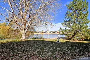 2172 Cape Hatteras Dr, Windsor, CO 80550 - Photo 41