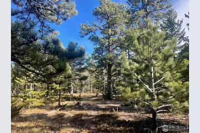 399 N Skinner Rd, Allenspark, CO 80510 - Photo 3