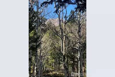 399 N Skinner Rd, Allenspark, CO 80510 - Photo 19