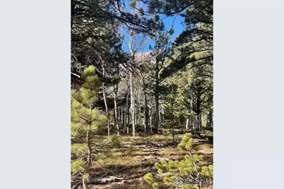 399 N Skinner Rd, Allenspark, CO 80510 - Photo 11