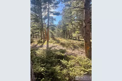 399 N Skinner Rd, Allenspark, CO 80510 - Photo 17