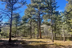 399 N Skinner Rd, Allenspark, CO 80510 - Photo 1