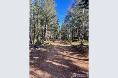 399 N Skinner Rd, Allenspark, CO 80510 - Photo 5