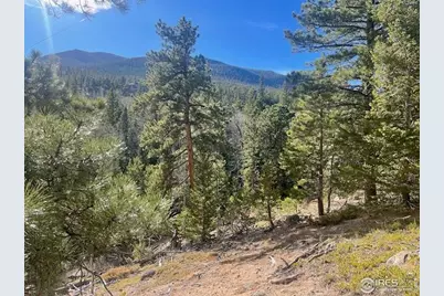 399 N Skinner Rd, Allenspark, CO 80510 - Photo 13