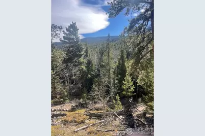 399 N Skinner Rd, Allenspark, CO 80510 - Photo 9